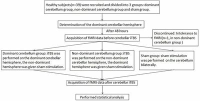 The effects of intermittent theta burst stimulation of the unilateral cerebellar hemisphere on swallowing-related brain regions in healthy subjects